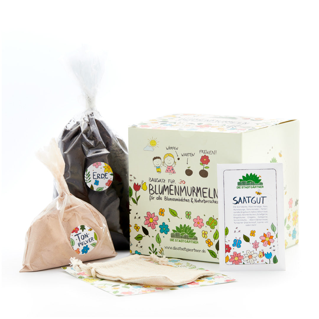 Juego de semillas de flores con caja, bolsa de tierra, bolsa de arcilla en polvo, bolsa de semillas y bolsa de tela, todo ilustrado con colores.