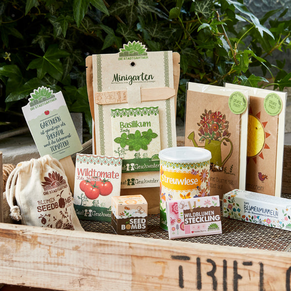 Diversos productos de jardinería, como un mini jardín, un set de albahaca, semillas de tomates silvestres y esquejes de flores silvestres presentados en una caja de madera rústica.