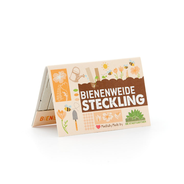 Embalaje para esquejes de pastos de abejas con ilustraciones de jardín y el logotipo "Die Stadtgärtner".