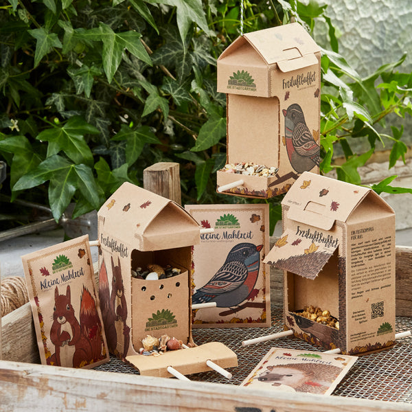 Comederos de cartón para pájaros y ardillas sobre una mesa de madera con plantas al fondo.