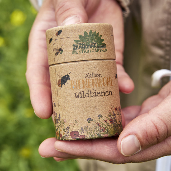 Una mano sostiene una caja de cartón marrón con la inscripción "Aktion Bienenwohl Wildbienen" y una ilustración de flores silvestres y abejas.