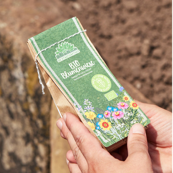 Mano sosteniendo un paquete de semillas de flores orgánicas sobre un fondo de tierra.
