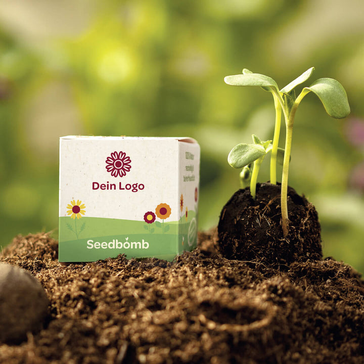 Bomba de semillas con la inscripción “Tu Logo” junto a una planta germinando en tierra.