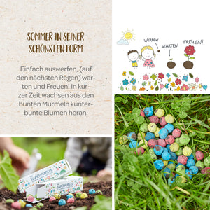 Collage de bolas de semillas de flores, incluido el texto "El verano en su máxima expresión", una ilustración de niños plantando bolas de semillas y una mano colocando una caja de bolas de semillas en la tierra.
