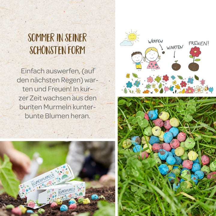 Collage de bolas de semillas de flores, incluido el texto "El verano en su máxima expresión", una ilustración de niños plantando bolas de semillas y una mano colocando una caja de bolas de semillas en la tierra.