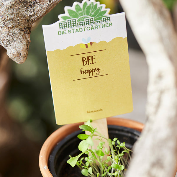 Etiqueta de planta amarilla con la inscripción "BEE happy" en una maceta con plantas jóvenes.