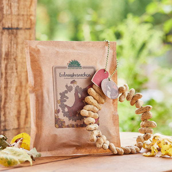 Una bolsa de papel marrón con la etiqueta "Coronas de maní: bocadillos divertidos para ardillas" y una corona de maní sobre una mesa de madera al aire libre.