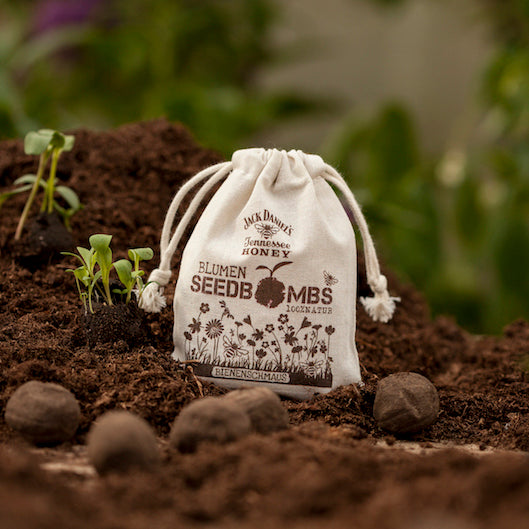 Una pequeña bolsa de tela con la etiqueta "Bombas de semillas de flores" se encuentra sobre tierra fértil junto a plántulas y bombas de semillas.