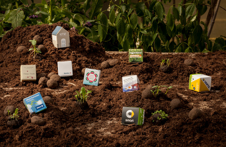 Varios paquetes de semillas dispuestos sobre el suelo modelando un paisaje, con plantas jóvenes comenzando a crecer.