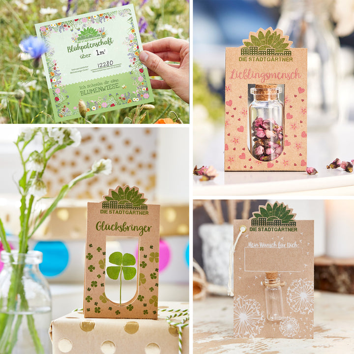 Collage de varias tarjetas de regalo y paquetes de semillas de "Die Stadtgärtner" con motivos de flores y tréboles.
