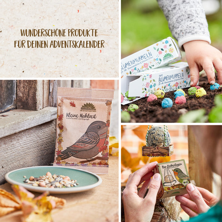Collage de varios productos para calendarios de Adviento, incluidas bolas de semillas, comida para pájaros y kits de plantación.