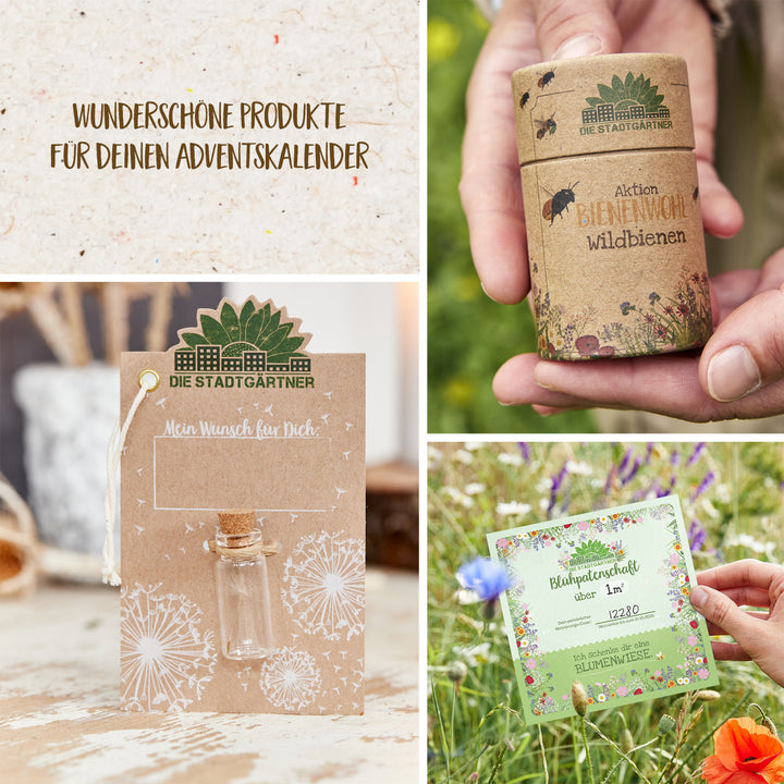 "Collage de productos ecológicos, que incluye una tarjeta, paquetes de semillas y un amuleto de la suerte, con textos en alemán sobre sostenibilidad y naturaleza".