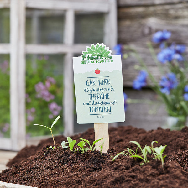 Cartel de jardín con la inscripción "¡La jardinería es más barata que la terapia y obtienes TOMATES!", rodeado de tierra y plantas jóvenes.