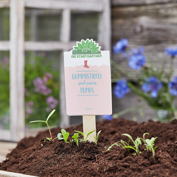 Un cartel que dice "Las botas de goma son mis zapatos" está pegado en un macizo de plantas jóvenes; un fondo borroso de flores.