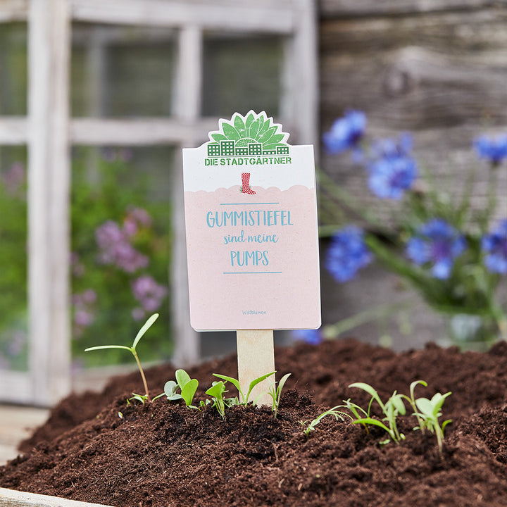 Un cartel que dice "Las botas de goma son mis zapatos" está pegado en un macizo de plantas jóvenes; un fondo borroso de flores.