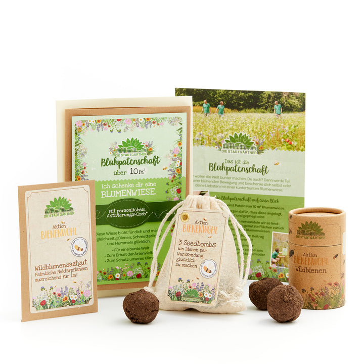 Diversos productos y materiales de información para promover los prados de flores silvestres y el bienestar de las abejas, incluidas semillas, bombas de semillas y folletos, con diseños florales y etiquetado en alemán.