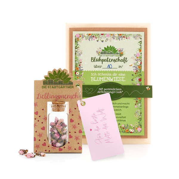 Set de regalo de prado de flores con semillas en botella de vidrio, tarjeta y código de activación.