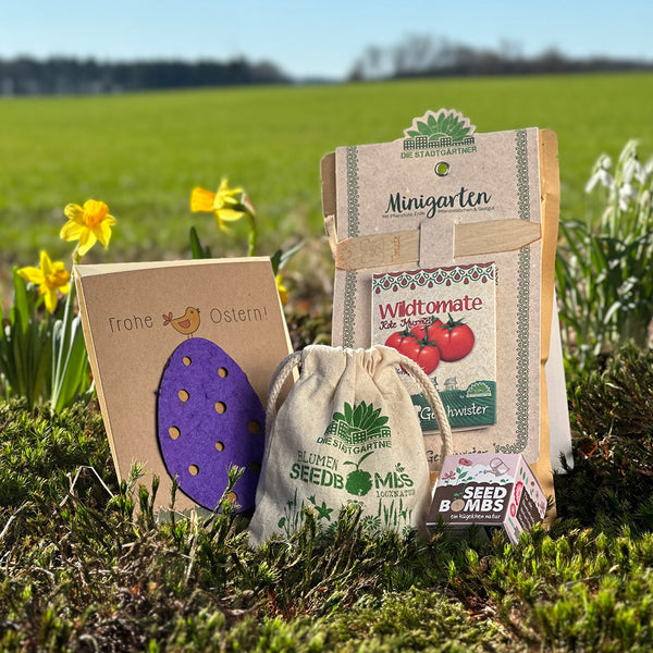 Kits de horticultura con semillas y una tarjeta que dice "Felices Pascuas" colocados en un prado con narcisos al fondo.